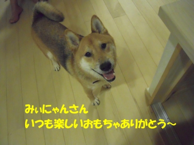 f:id:miyuki1967:20110825113120j:image f:id:miyuki1967:20110825113120j:image