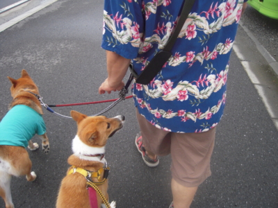 f:id:miyuki1967:20110901071050j:image f:id:miyuki1967:20110901071050j:image