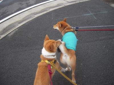 f:id:miyuki1967:20110901071108j:image f:id:miyuki1967:20110901071108j:image