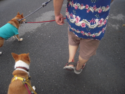 f:id:miyuki1967:20110901071115j:image f:id:miyuki1967:20110901071115j:image