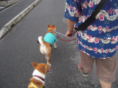 f:id:miyuki1967:20110901071122j:image f:id:miyuki1967:20110901071122j:image