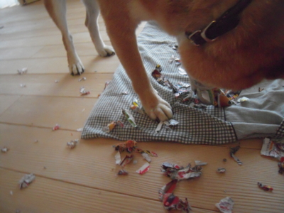 f:id:miyuki1967:20111101073621j:image