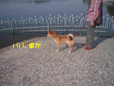 f:id:miyuki1967:20111115111942j:image f:id:miyuki1967:20111115111942j:image