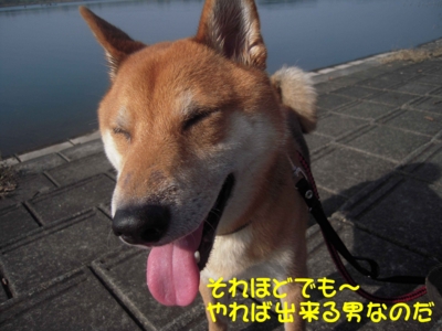 f:id:miyuki1967:20111115112002j:image f:id:miyuki1967:20111115112002j:image