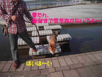 f:id:miyuki1967:20111115112021j:image f:id:miyuki1967:20111115112021j:image