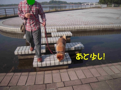 f:id:miyuki1967:20111115112031j:image f:id:miyuki1967:20111115112031j:image