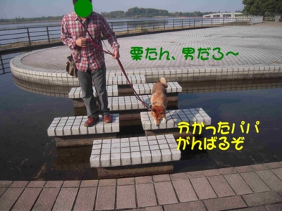 f:id:miyuki1967:20111115112040j:image f:id:miyuki1967:20111115112040j:image