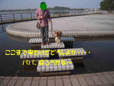 f:id:miyuki1967:20111115112050j:image f:id:miyuki1967:20111115112050j:image