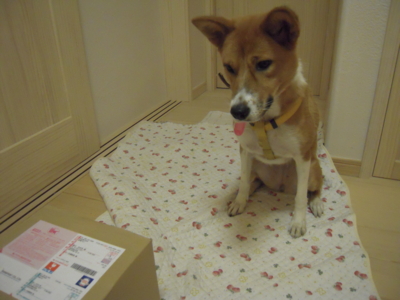 f:id:miyuki1967:20111115221044j:image f:id:miyuki1967:20111115221044j:image