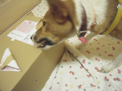 f:id:miyuki1967:20111115221221j:image f:id:miyuki1967:20111115221221j:image