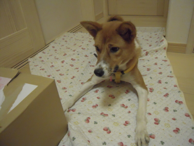 f:id:miyuki1967:20111115221305j:image f:id:miyuki1967:20111115221305j:image