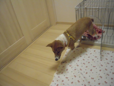 f:id:miyuki1967:20111116201005j:image f:id:miyuki1967:20111116201005j:image