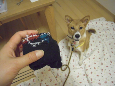 f:id:miyuki1967:20111116204413j:image f:id:miyuki1967:20111116204413j:image