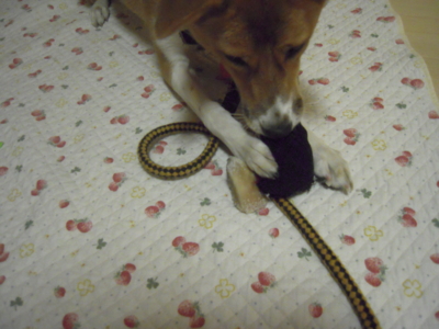 f:id:miyuki1967:20111116204503j:image f:id:miyuki1967:20111116204503j:image