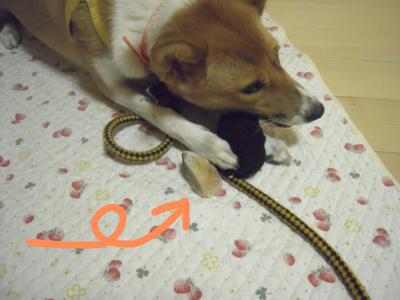 f:id:miyuki1967:20111116204509j:image f:id:miyuki1967:20111116204509j:image