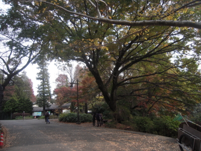 f:id:miyuki1967:20111127102913j:image