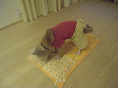 f:id:miyuki1967:20111127194537j:image:left