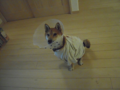 f:id:miyuki1967:20111127221513j:image