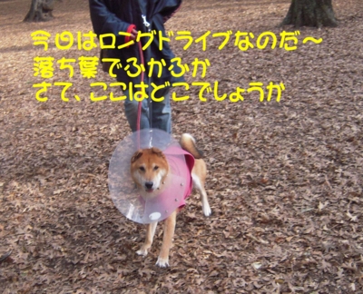 f:id:miyuki1967:20111128103955j:image