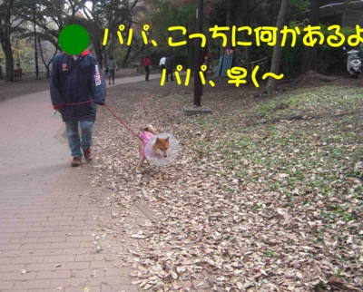 f:id:miyuki1967:20111128111620j:image