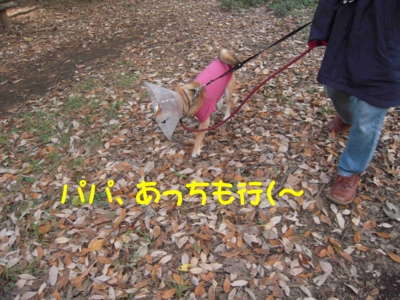 f:id:miyuki1967:20111128111647j:image