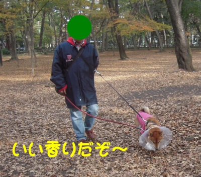 f:id:miyuki1967:20111128111657j:image