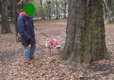 f:id:miyuki1967:20111128111701j:image