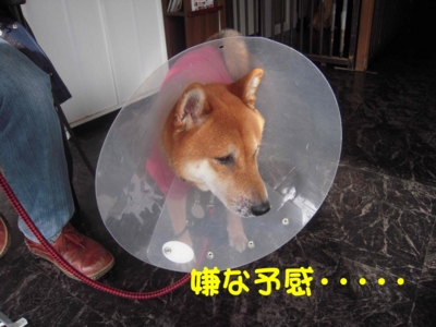 f:id:miyuki1967:20111128112713j:image