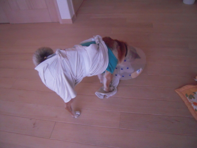 f:id:miyuki1967:20111130080106j:image:w450