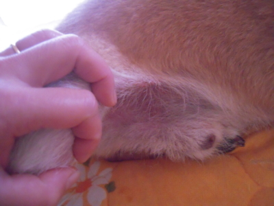 f:id:miyuki1967:20111210083715j:image