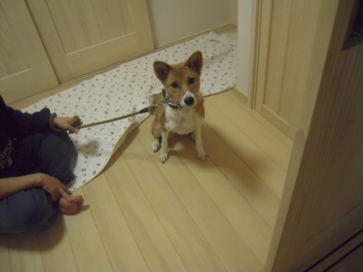 f:id:miyuki1967:20111213234945j:image f:id:miyuki1967:20111213234945j:image