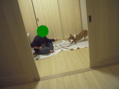 f:id:miyuki1967:20111214104641j:image f:id:miyuki1967:20111214104641j:image