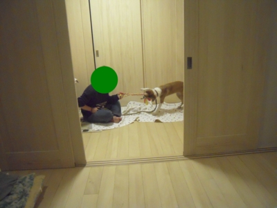 f:id:miyuki1967:20111214104651j:image f:id:miyuki1967:20111214104651j:image