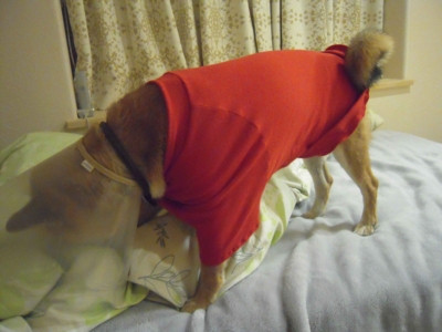 f:id:miyuki1967:20111214104701j:image f:id:miyuki1967:20111214104701j:image