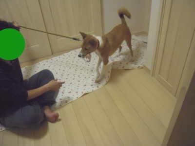 f:id:miyuki1967:20111214104721j:image f:id:miyuki1967:20111214104721j:image