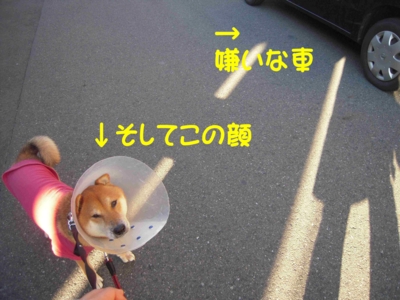 f:id:miyuki1967:20111219091729j:image f:id:miyuki1967:20111219091729j:image