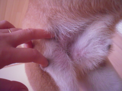 f:id:miyuki1967:20111221082431j:image
