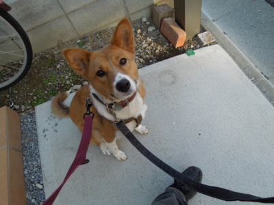 f:id:miyuki1967:20120104082418j:image