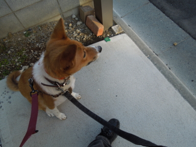 f:id:miyuki1967:20120104082426j:image