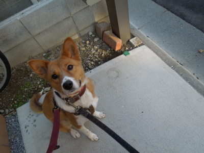 f:id:miyuki1967:20120104082434j:image