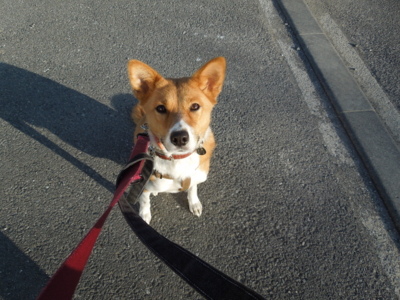 f:id:miyuki1967:20120104083357j:image