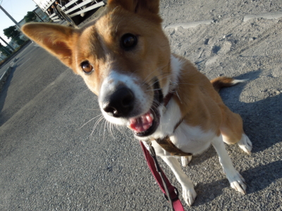 f:id:miyuki1967:20120104083507j:image