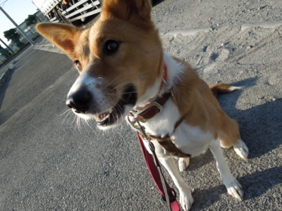 f:id:miyuki1967:20120104083508j:image