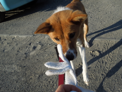 f:id:miyuki1967:20120104083522j:image