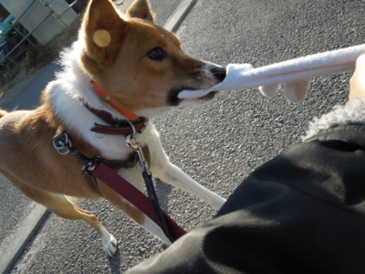 f:id:miyuki1967:20120104083529j:image