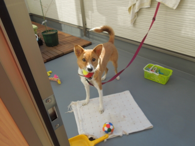 f:id:miyuki1967:20120107103645j:image