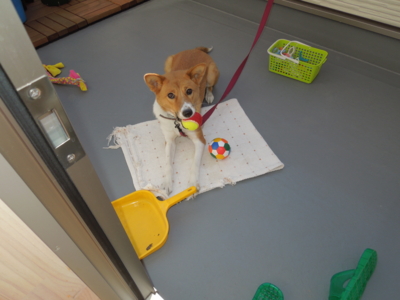 f:id:miyuki1967:20120107103701j:image