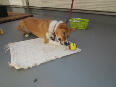 f:id:miyuki1967:20120107103923j:image