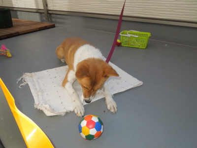 f:id:miyuki1967:20120107104122j:image