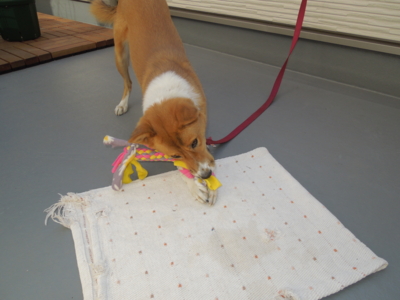 f:id:miyuki1967:20120107104718j:image